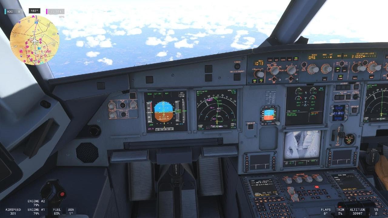Microsoft Flight Simulator 2024_20260104172328