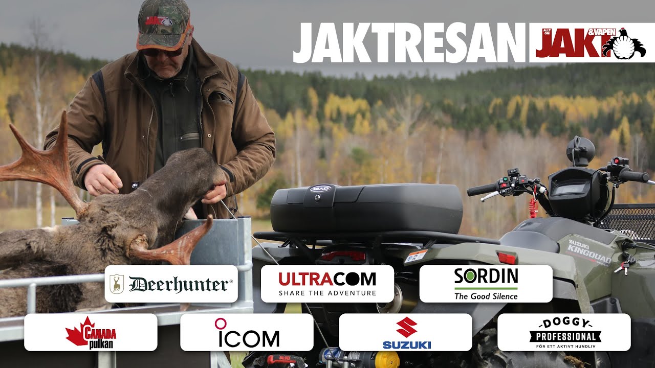 Jaktresan: &Auml;lgjakt i J&auml;rvs&ouml;