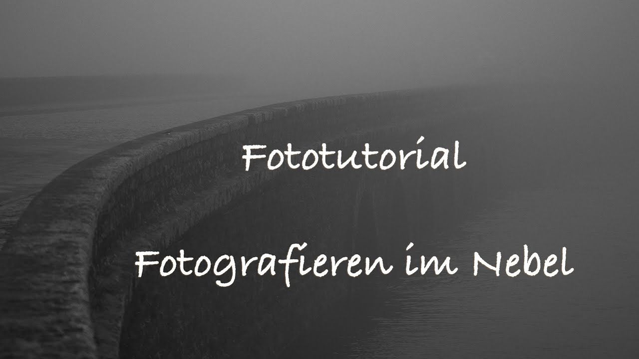 Fotografieren im Nebel - Tipps für schlechtes Wetter