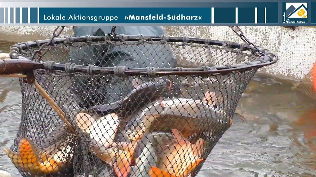 LAG »Mansfeld-Südharz« | Doku 02a/2019