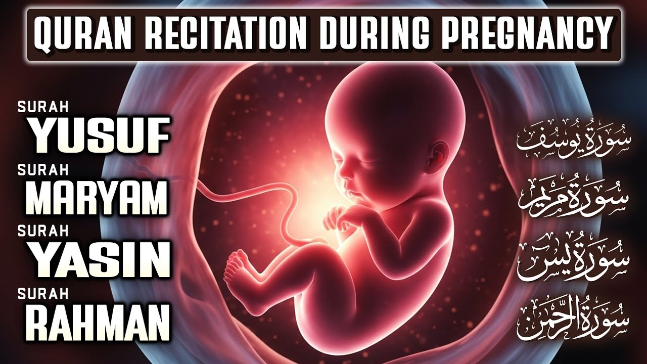 Quran Recitation For Pregnancy ( MUST LISTEN ) Surah Yusuf, Maryam, Yasin, Rahman | Habibullah TV