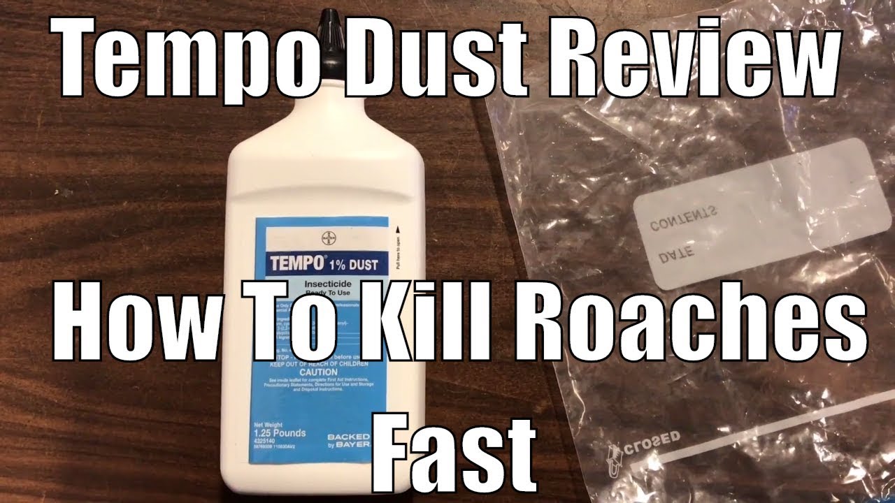 Обзор Tempo Dust и как быстро уничтожить тараканов