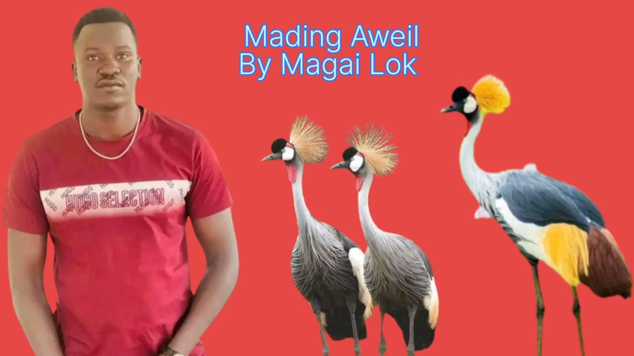 Mading Aweil _ Magai Lok new video (official audio)