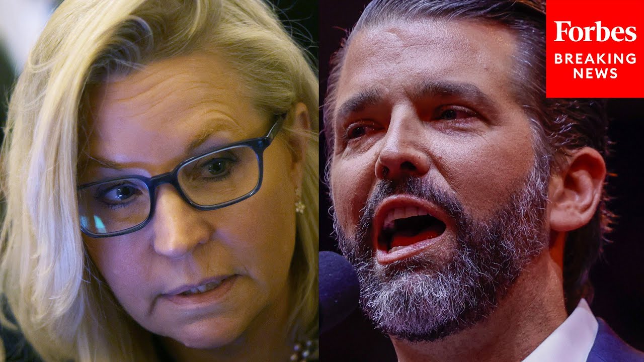 Donald Trump Jr.: 'There's A Reason The Democrats Are Embracing Dick & Liz Cheney...'