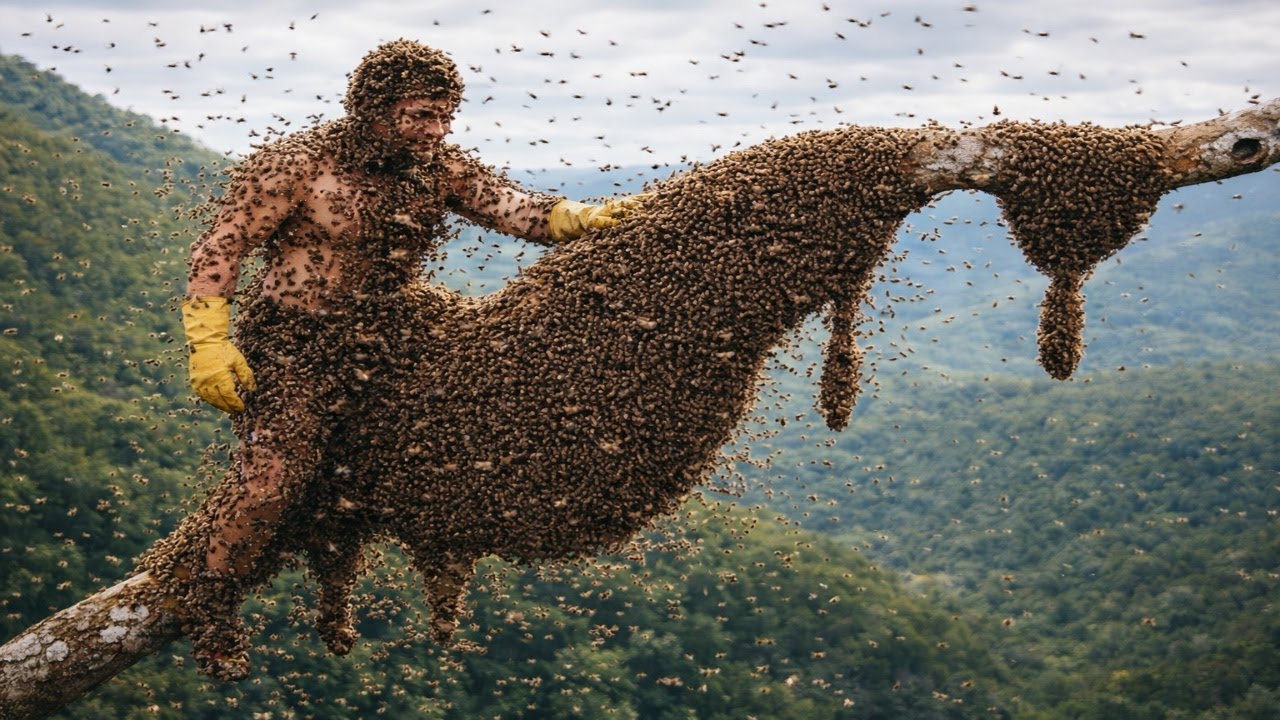 This Is How People Die Harvesting Wild Honey