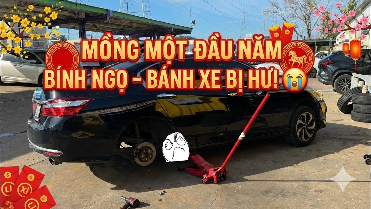 Ngựa xích thố bị 