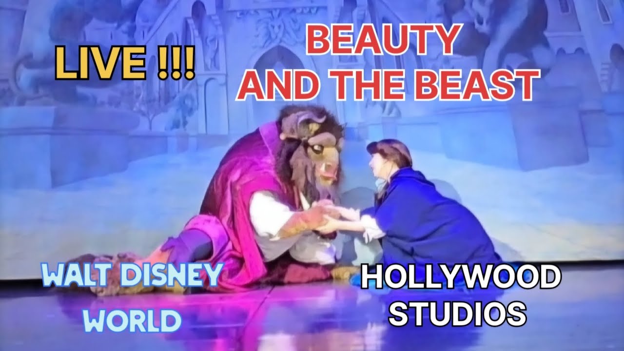 BEAUTY AND THE BEAST LIVE MUSICAL SHOW : HOLLYWOOD HILLS AMPHITHEATER || Big Brother Journey #disney
