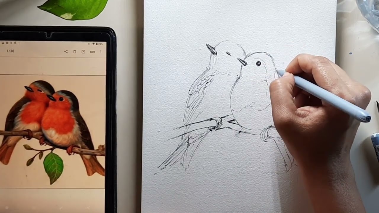 Line art-7/ A pair of ROBIN Birds /Bird painting/Line and Watercolor wash/Step by step/DIY