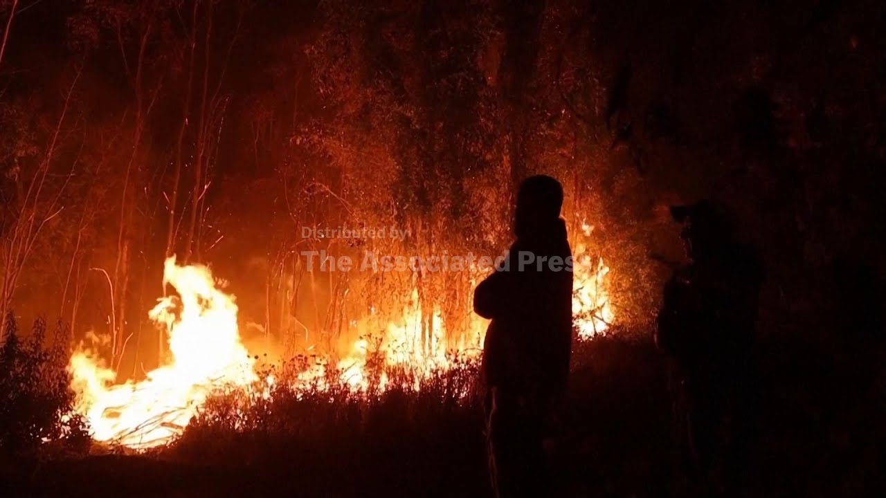 Why Chile’s wildfires are spreading faster and burning hotter