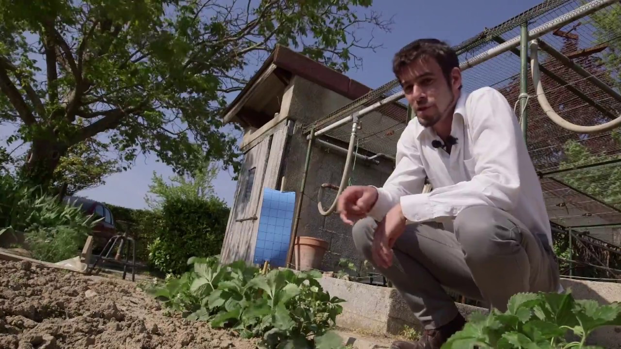 🛡 Pièges anti-insectes au jardin : comment protéger vos plantes naturellement ?