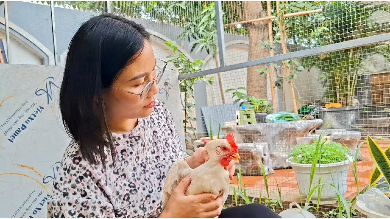 Thuy Gardening | When My Chickens Got Sick  A Small Garden Lesson