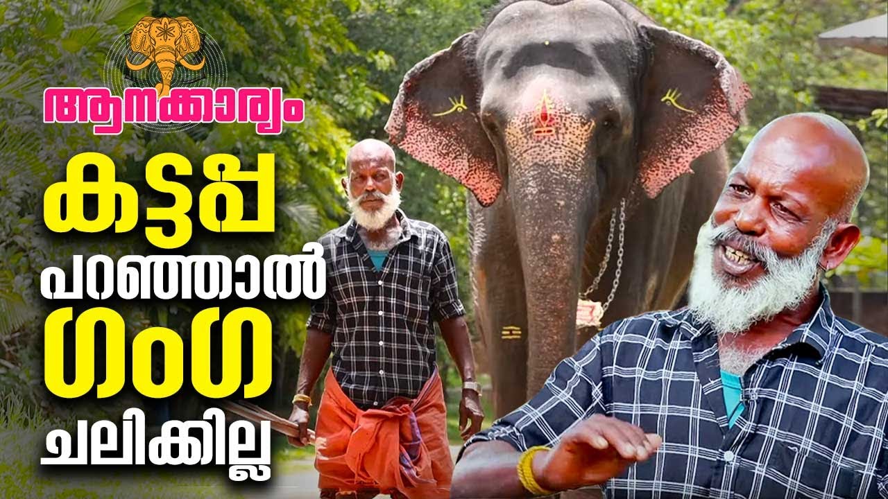 EP 63 | കട്ടപ്പ പറഞ്ഞാൽ ഗംഗ ചലിക്കില്ല | Puthenkulam Aanathavalam | Ganga elephant | Aanakkaryam