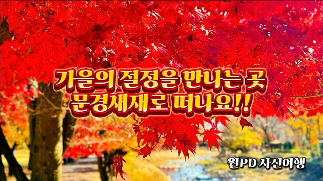 원PD 사진여행 - #문경새재단풍 #문경새재가을여행
