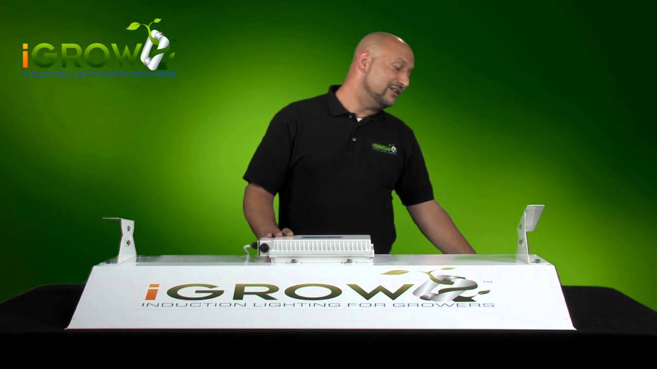 Using iGROW Induction lighting and the benefits over HID | Bulb, Balist, Reflector