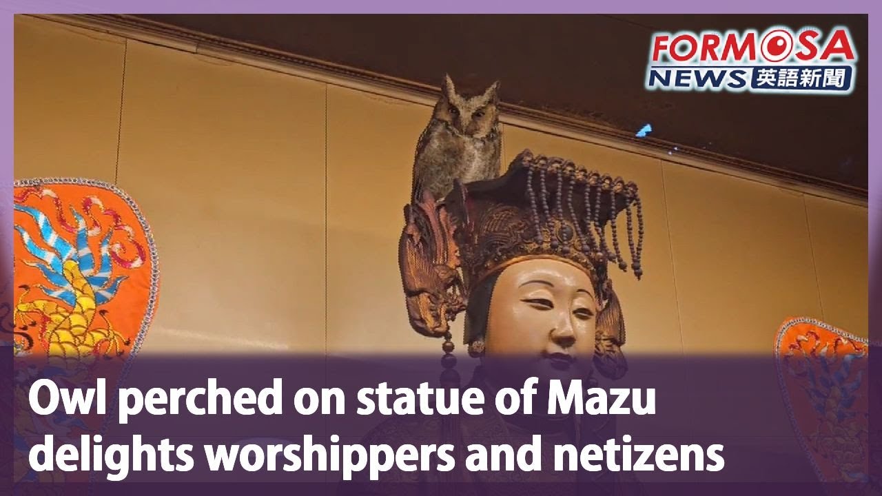 Owl perched on statue of Mazu delights worshippers and netizens｜Taiwan News