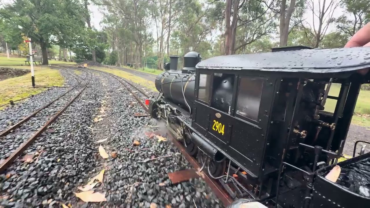 Baldwin 2904 at a private track , got stuck in the rain :)#nswgr #train #railway #steamtrain