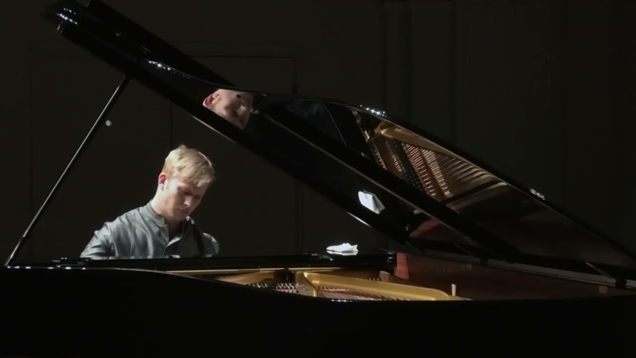 F.LISZT 12 Transcendental Etudes (Paulius Andersson)