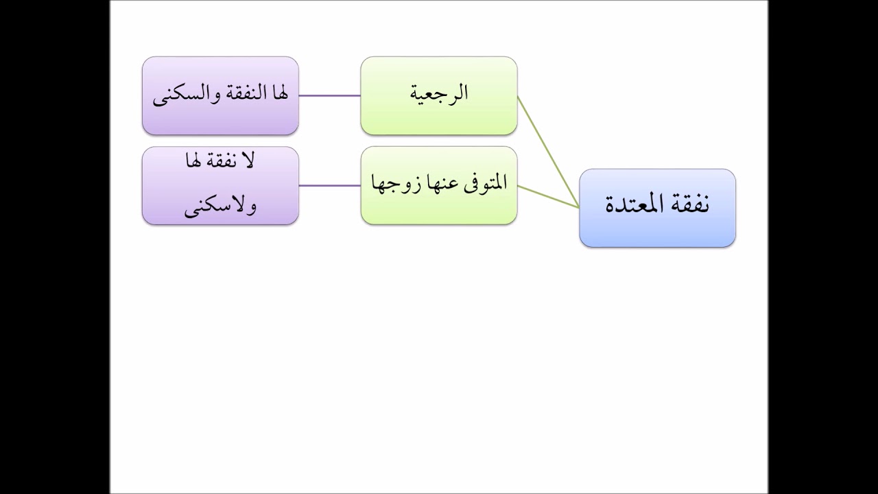 فقه الأسرة (33) نفقة المعتدة - عامر بهجت - التأهيل الفقهي
