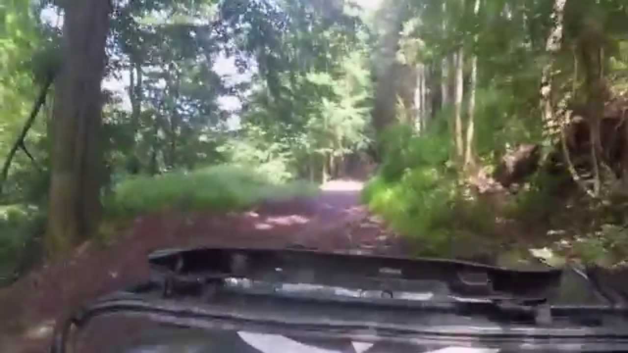 Jeep Willys GPW 1944 Offroad Ardennes