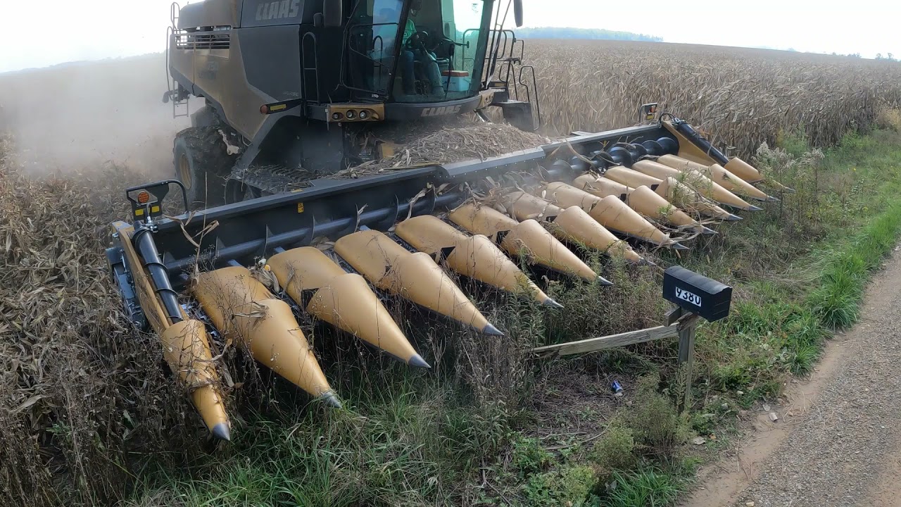 Hard to Keep Up With - Harvest 2021 Chasing - Powerful Lexion 750 - Challenger MT775E - Brent 1596