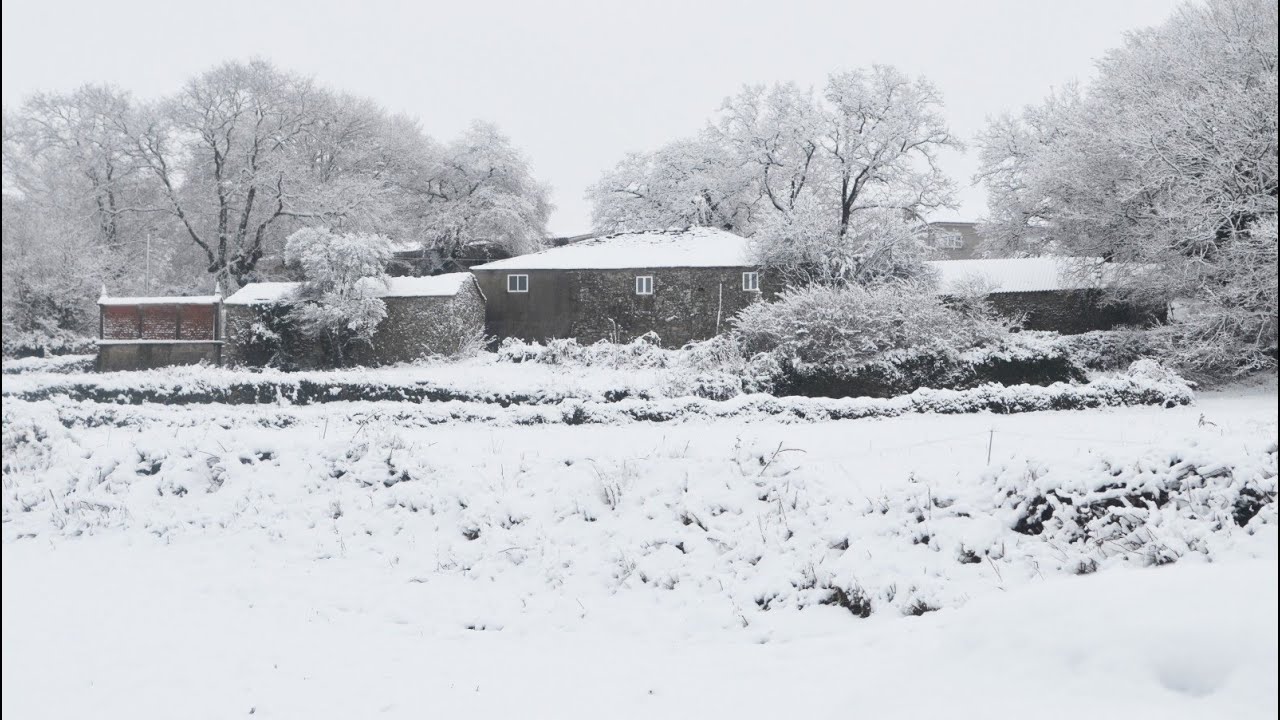 ❄️Rural Galicia in Snow ❄️Galicia rural Nevada