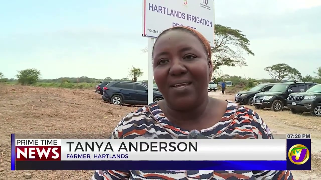 Dozens Of Hartlands Farmers To Benefit From Irrigation Project | TVJ News
