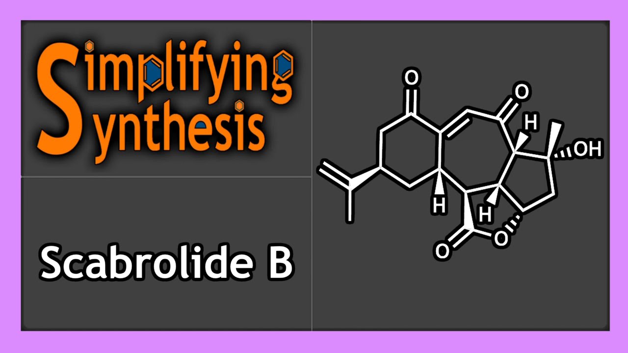 Total Synthesis of the Scabrolide B (Fürstner, 2024)