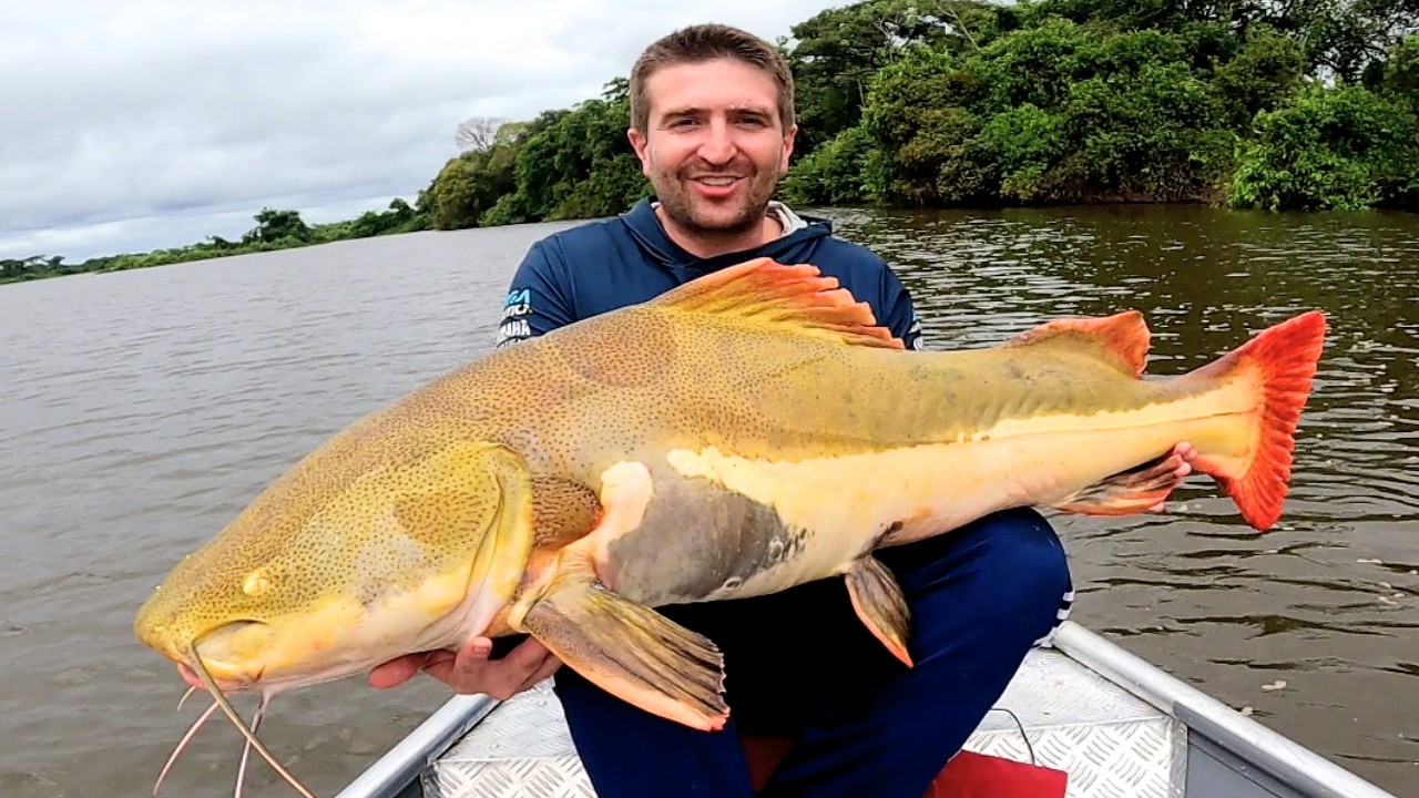 TUDO SOBRE PESCARIA DE PIRARARA NO ARAGUAIA!