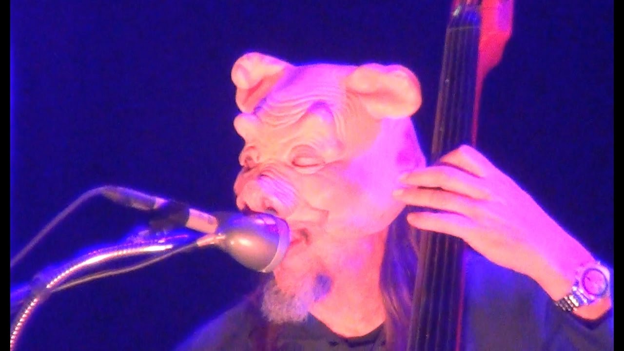 Primus - Mr. Krinkle - Aftershock 2016