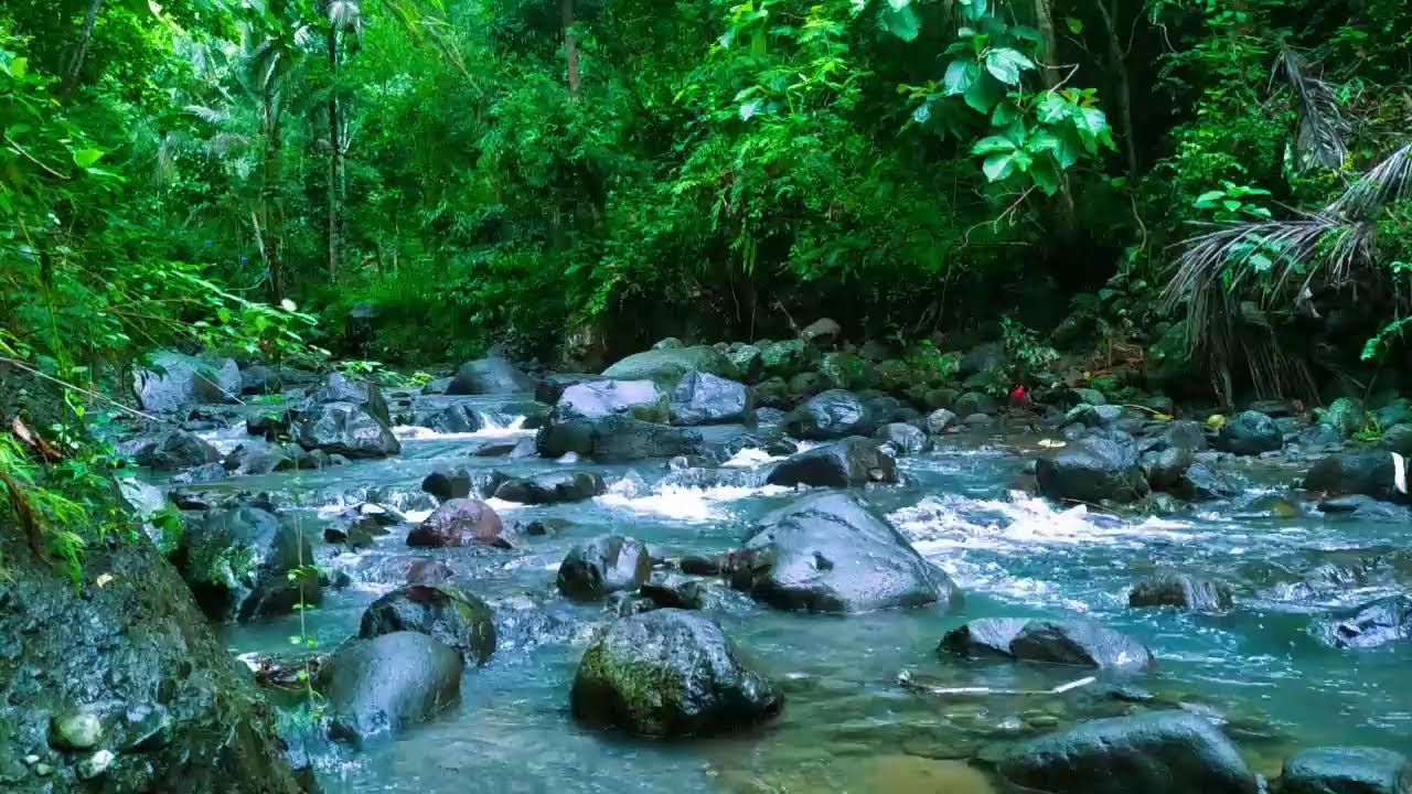 Relaxing Sounds For Sleeping - Tranquil River - Forest Scene For Meditation & Relaxation