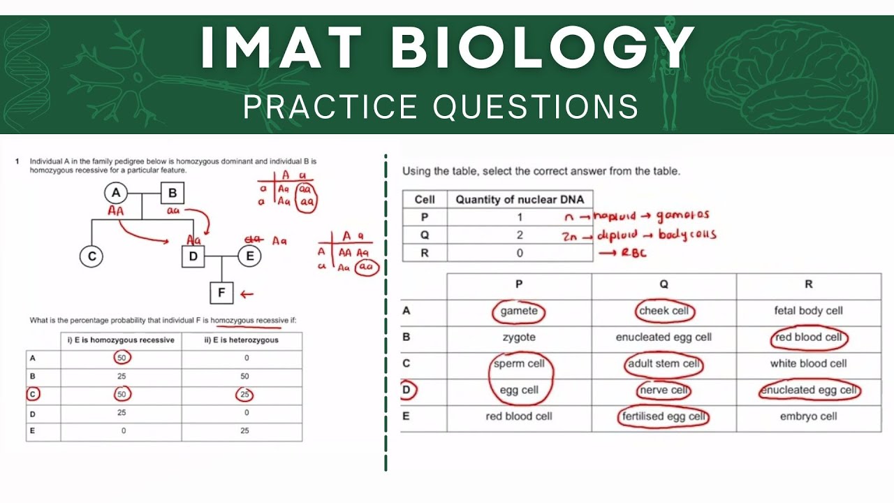 IMAT Biology Practice Questions | Test Your Knowledge and Skills | Boost Your Score