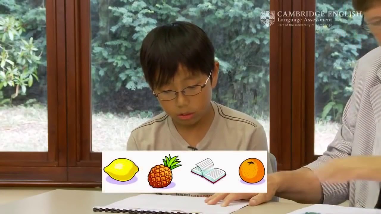 Cambridge YLE  A1 Movers Speaking Exam