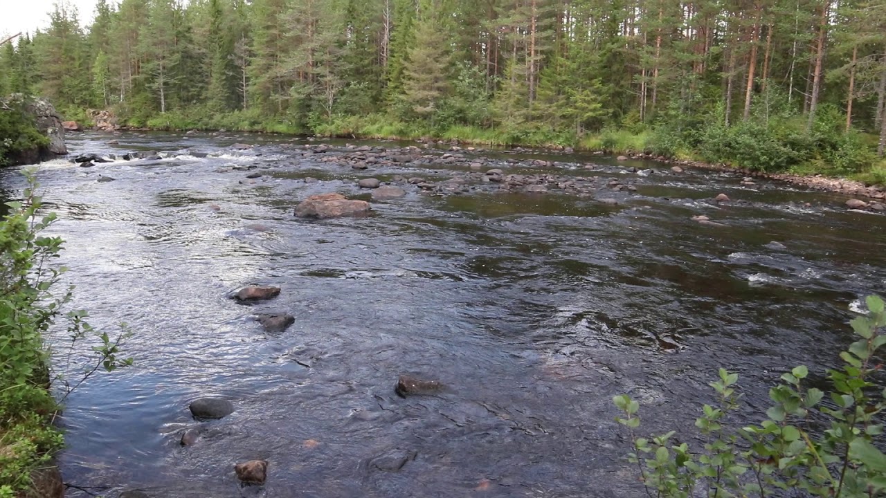 S&auml;var&aring;n 6 km ovanf&ouml;r Botsmark