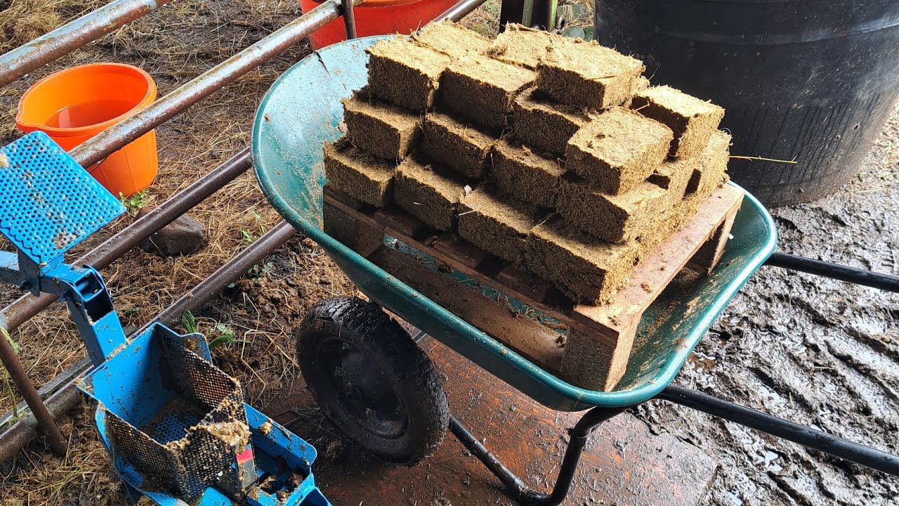horse manure briquettes @tinkytanky3