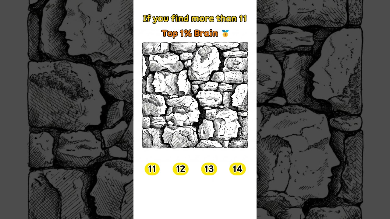 🧠 Brain Health Test: Find Hidden Faces in the Stone Wall (Dementia Prevention)