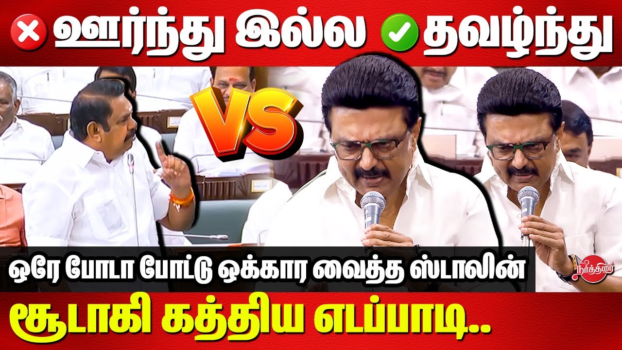சூடாகி கத்திய எடப்பாடி..ஒரே போடா போட்டு ஒக்கார வைத்த ஸ்டாலின் CM Stalin vs edappadi in assembly