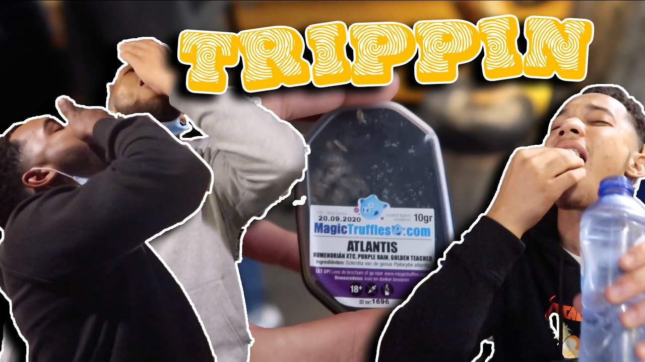 THESE MUSHROOMS ARE NO JOKE! | DARNELL VLOGS