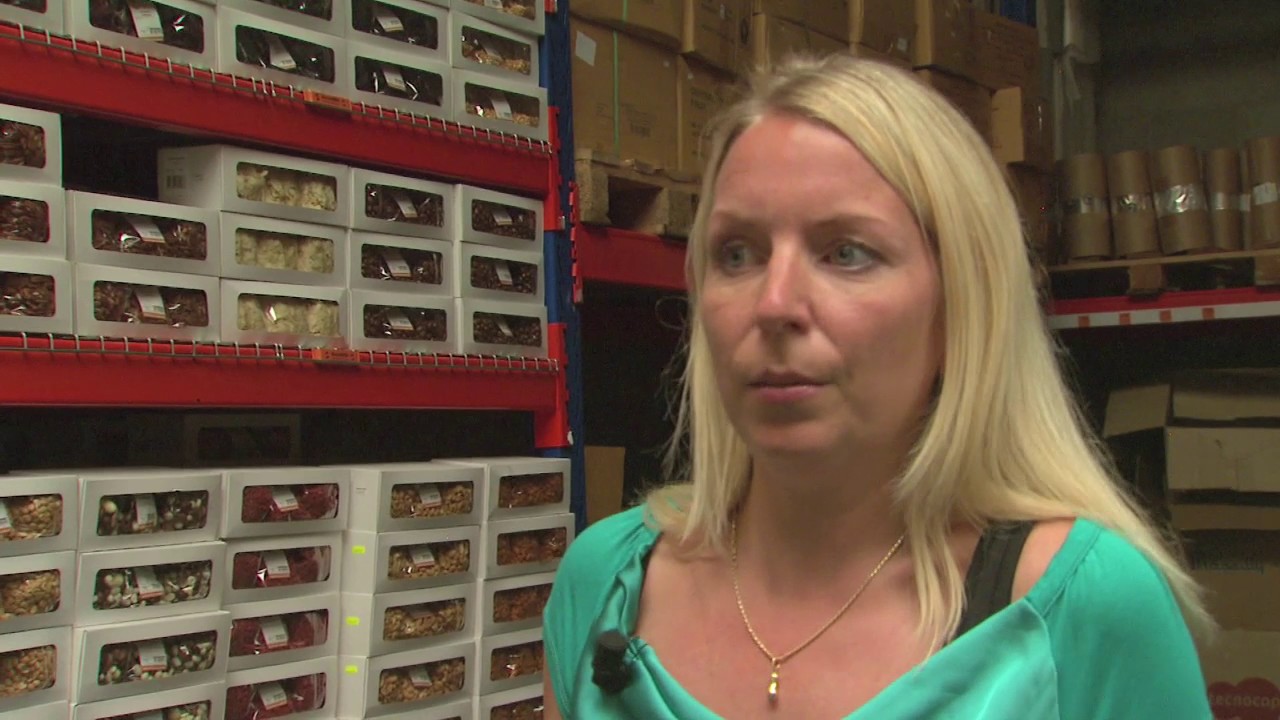 Meer over Jan Gotje vm