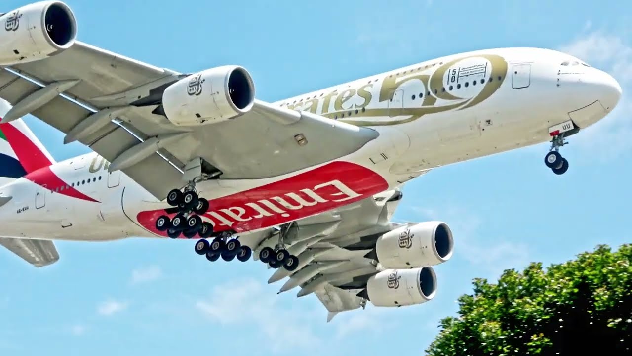 4K Los Angeles LAX 🇺🇸 Close up Plane Spotting at In-N-Out Burger