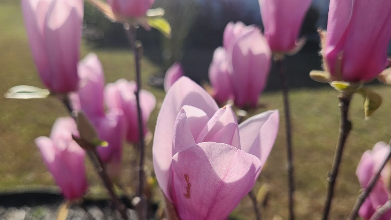 Что принесёт новолуние 🌚🌑🌕что на пороге 🌕🌑мужчина хочет вам сказать 🌀💕🌕🌑🌚❤️🌀💕🌕🌑🌚🌕❤️💕🌑🌚🌕❤️
