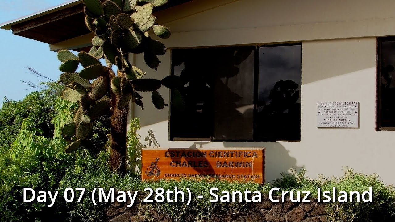 Day 07 (May 28th) - Santa Cruz Island