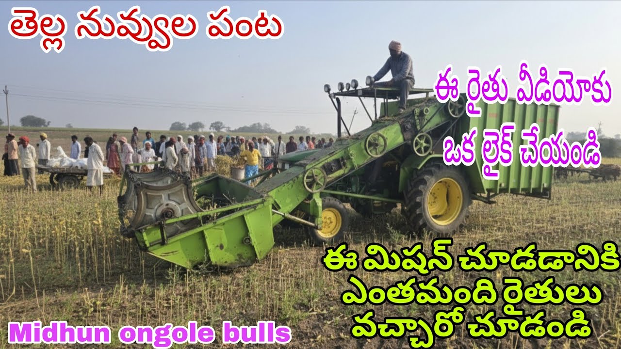 Midhun ongole Bulls is live