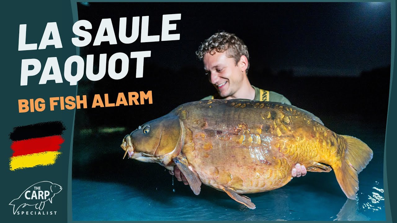 Fangen Jeroen & Tobi einen der 30+ kilo Karpfen am La Saule Paquot? BIG-CARP in Frankreich
