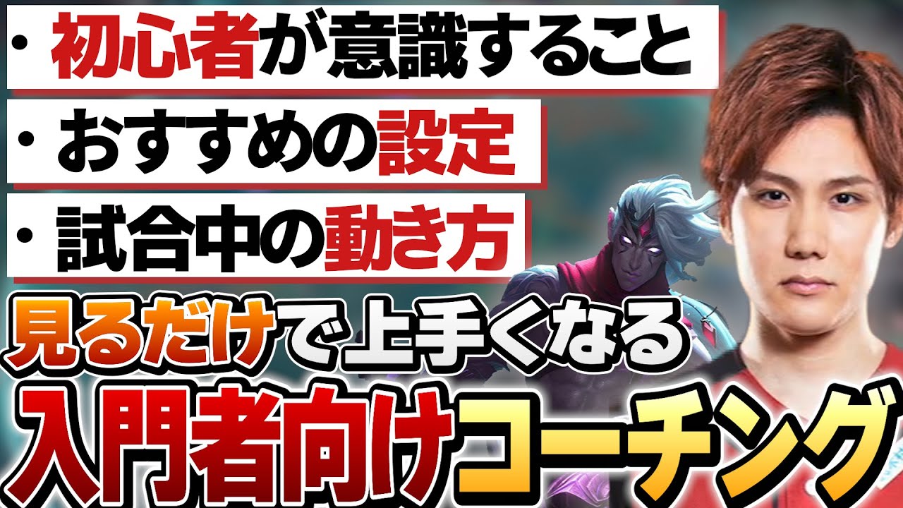 【LoL】ADC初心者必見！元プロがADCの基本を0から教えます【 えんてぃ  Enty  League of Legends  サポート 】