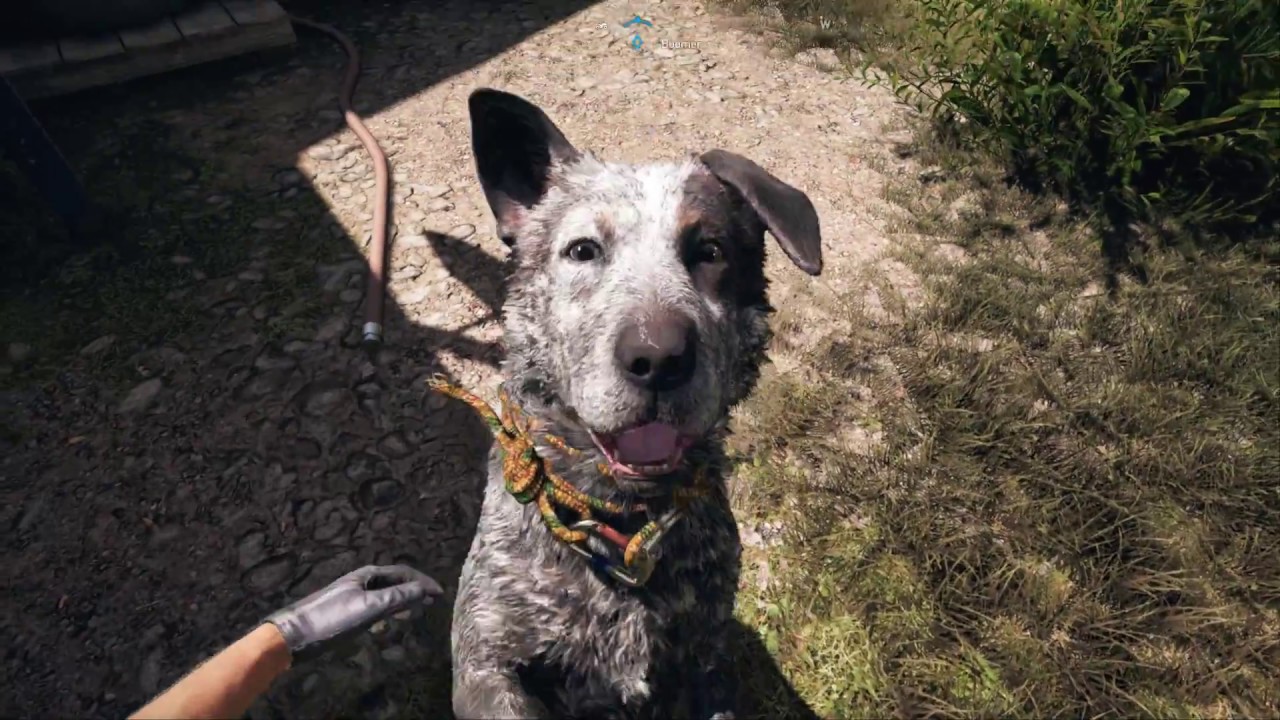 Far Cry 5 - Boomer the dog