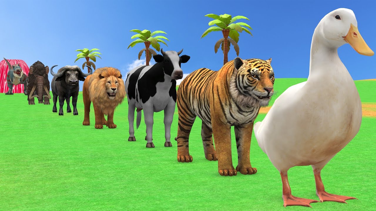 Long Slide Game with Cow Elephant Gorilla Hippopotamus Tiger 3d Animal Game Funny 3d Animals
