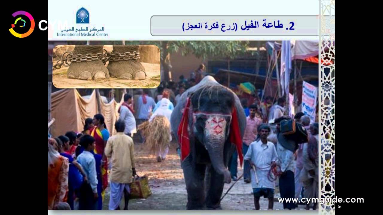 ملتقى التخصصات الثاني - د. وليد فتيحي CYM Forum 2014