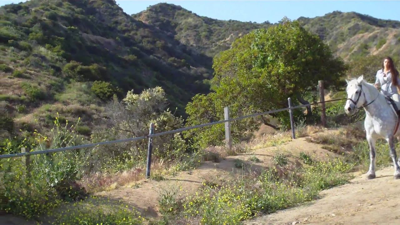 Horse Ride by Hollywood Sign, Los Angeles