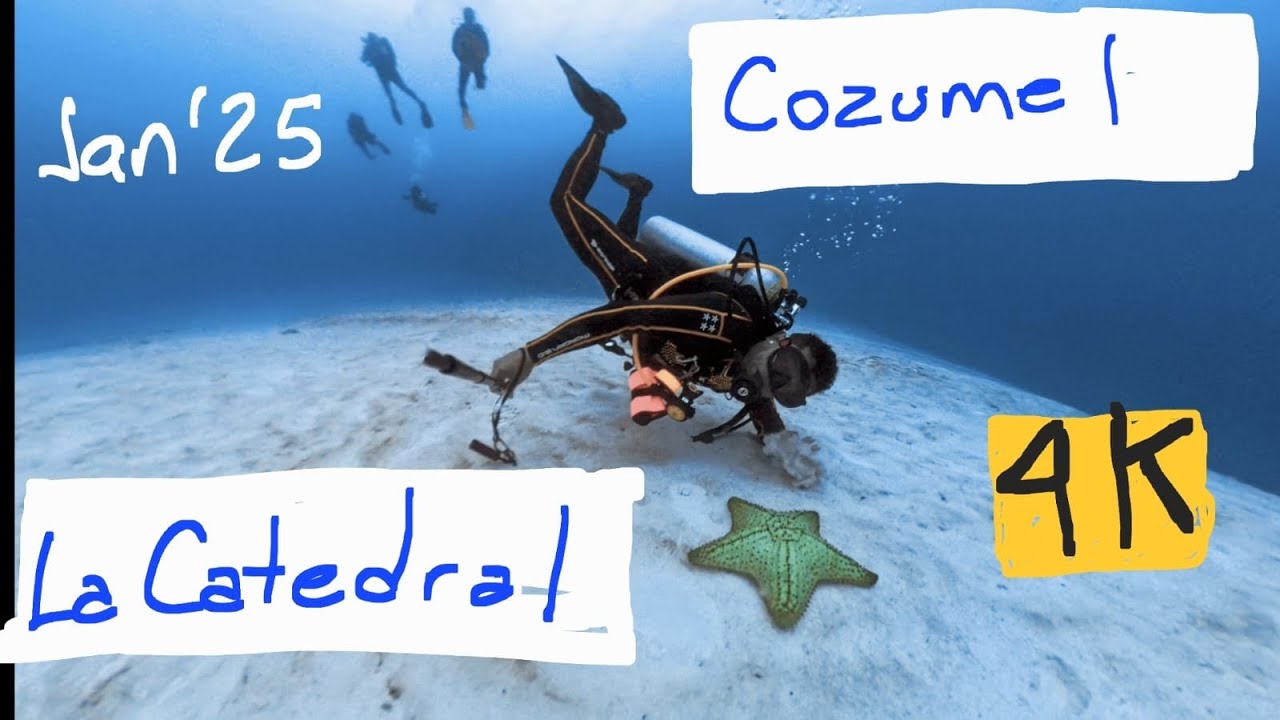 Exploring La Catedral, Cozumel – Stunning Coral Formations & Crystal-Clear Waters Scuba Dive