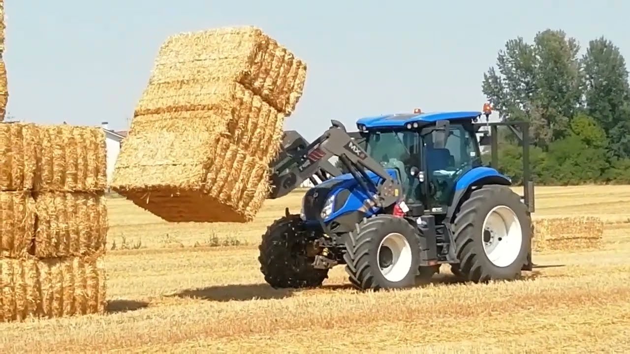 Raduno balle di paglia 2022 con New Holland T5 + forche MX u410 - Gathering straw - Straw bales -